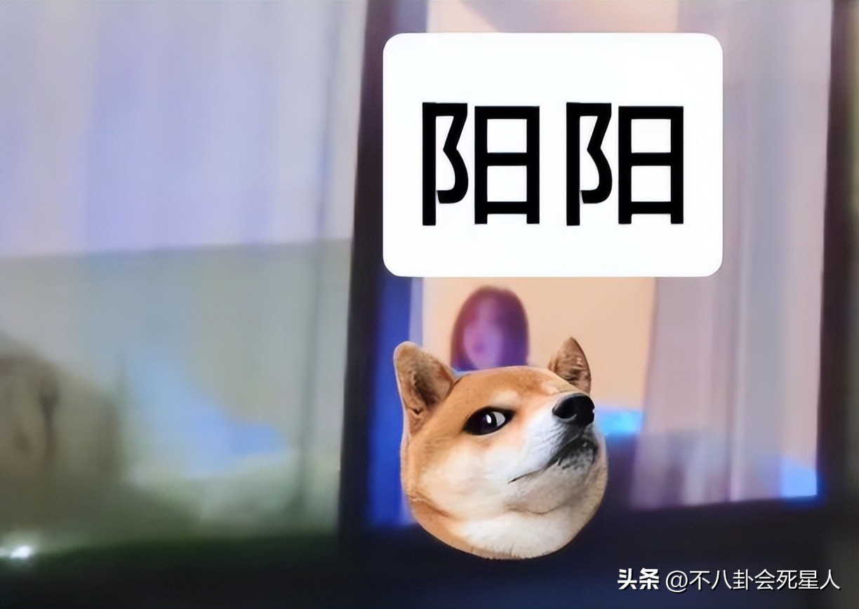 内娱再曝两男星隐婚生子,内娱爆料最新恋情