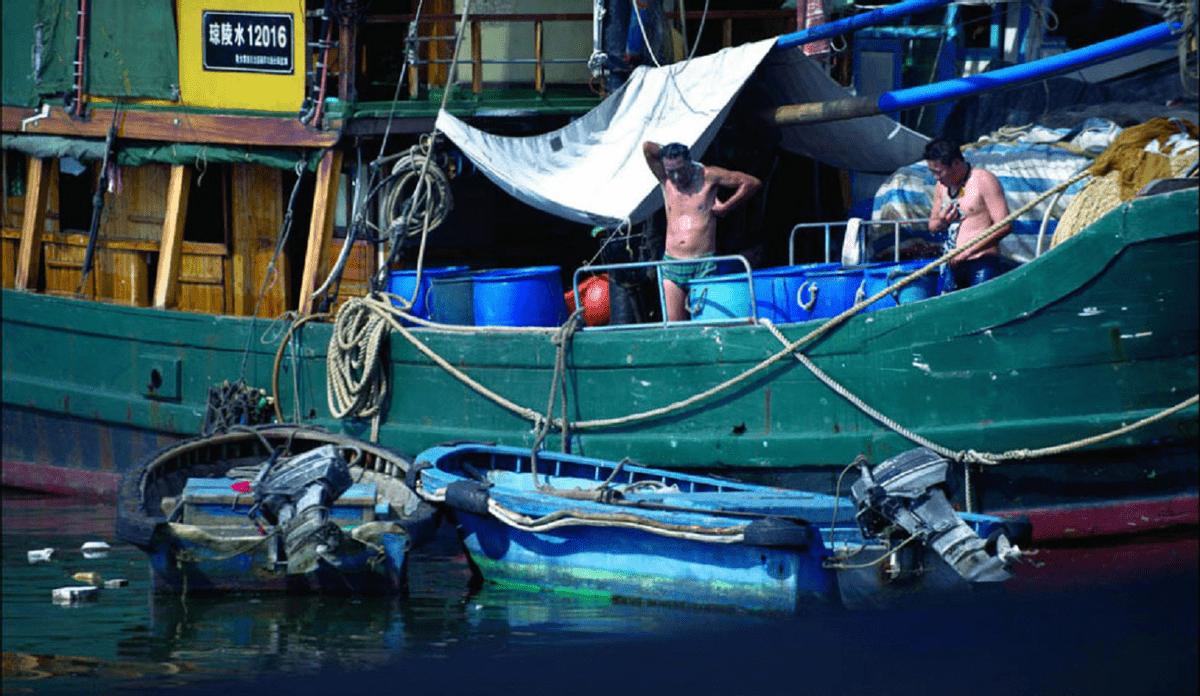 十年禁渔看长江鱼群物种更多样,长江禁渔仅两年就鱼群翻涌