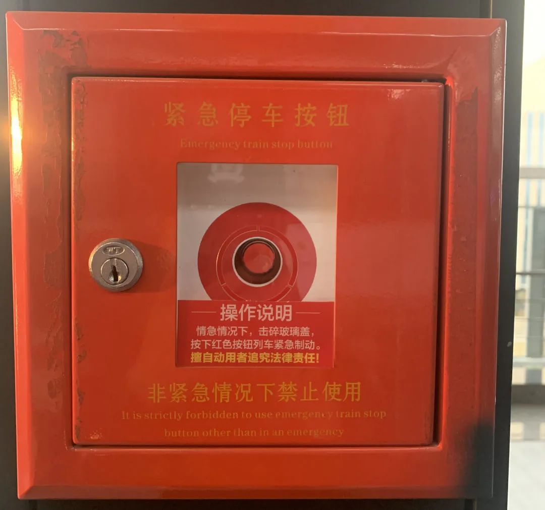 罚跪的女生,罚单15分钟怎么申请免罚