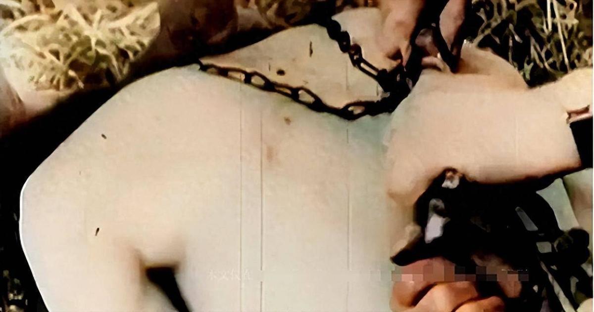 绾崇补寰峰浗灞犳潃鐘瑰お濂充汉,绾崇补灞犳潃鐘瑰お濡囧コ绾疄