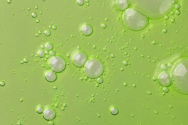 芦荟胶囊的作用与功效,芦荟胶的作用和功效晒伤