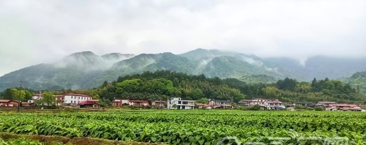 高高的紫云山,我们的青春故事曾在这里演绎