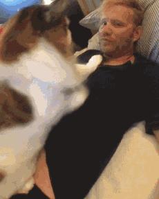 缅因猫养公的还是母的好,养一只缅因猫一个月要多少钱