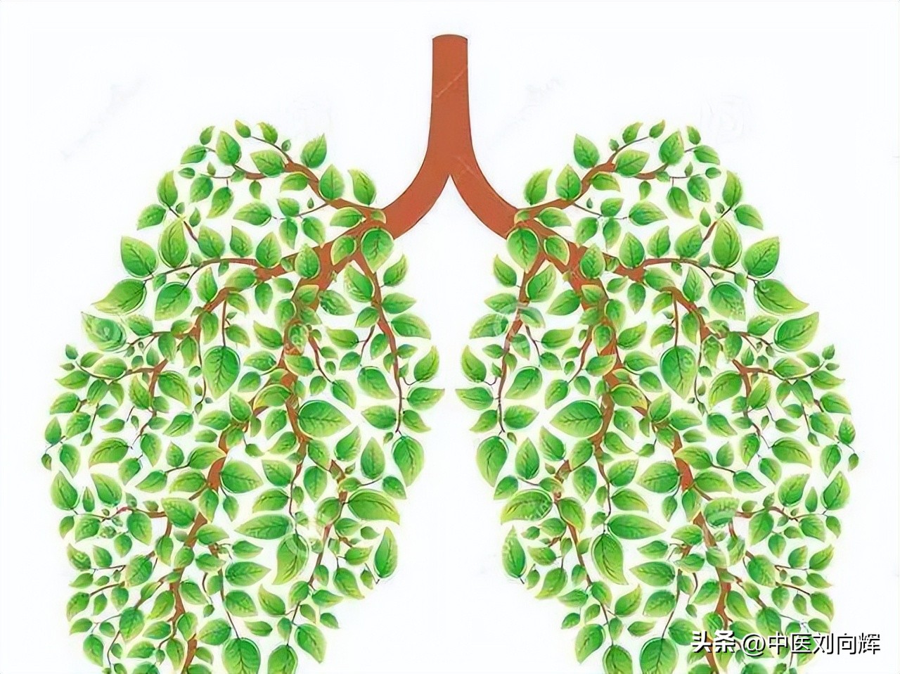 糖尿病气阴两虚最好偏方,糖尿病患者怎样健脾滋肾