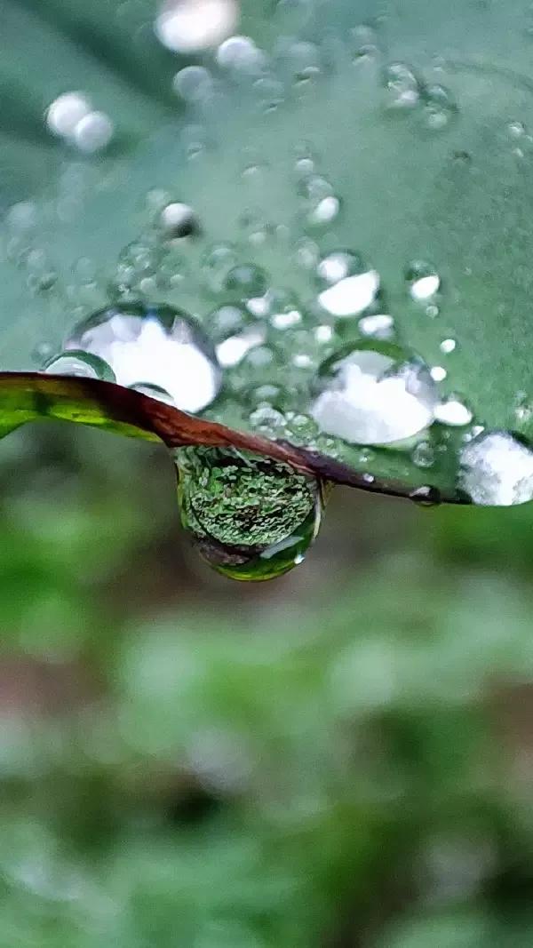 控制欲太强的病态表现,怎么缓解控制欲太强的人