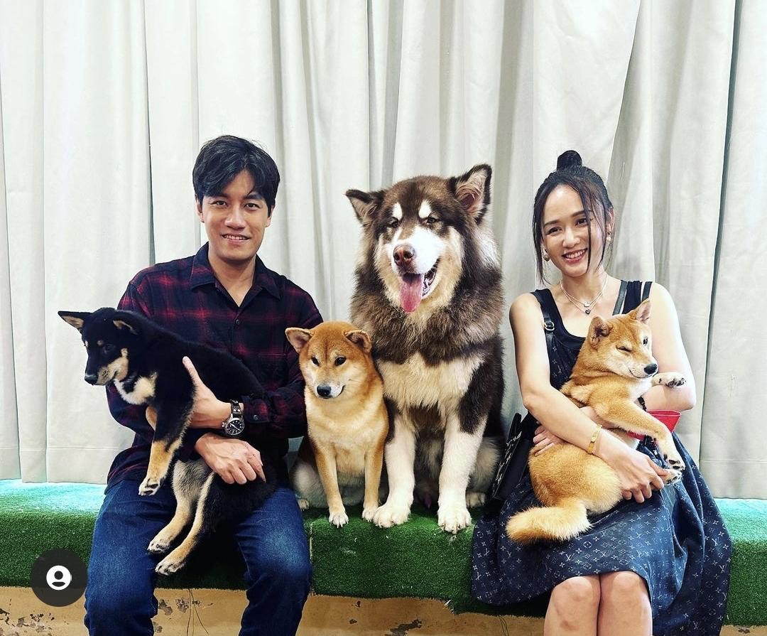 陈乔恩和老公韩国旅游,陈乔恩在日本照片曝光