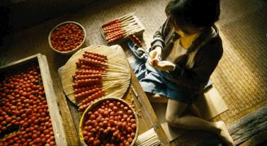 40岁大满贯视后,大满贯视后影后