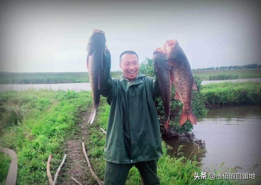 农村创业的真实经历,创业失败回农村老家的真实生活