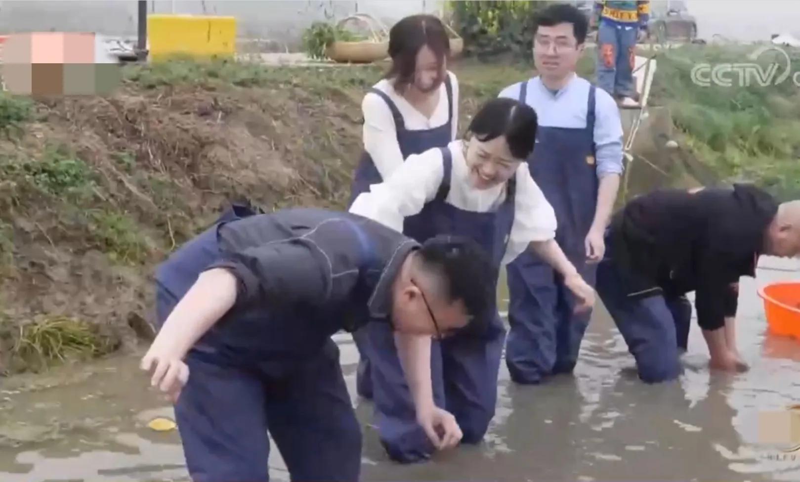 男子挖石头意外得财2400万,男子无意间发现泉眼