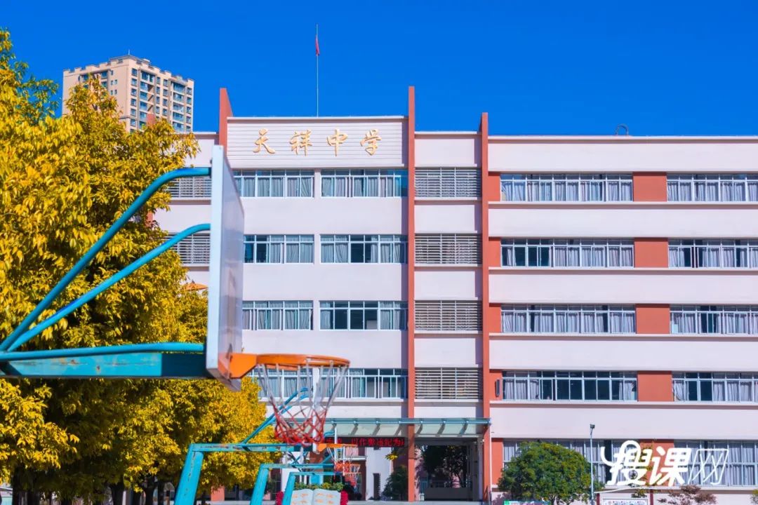 秋季限定|昆明九所学校，送你诗意校园里的一抹金