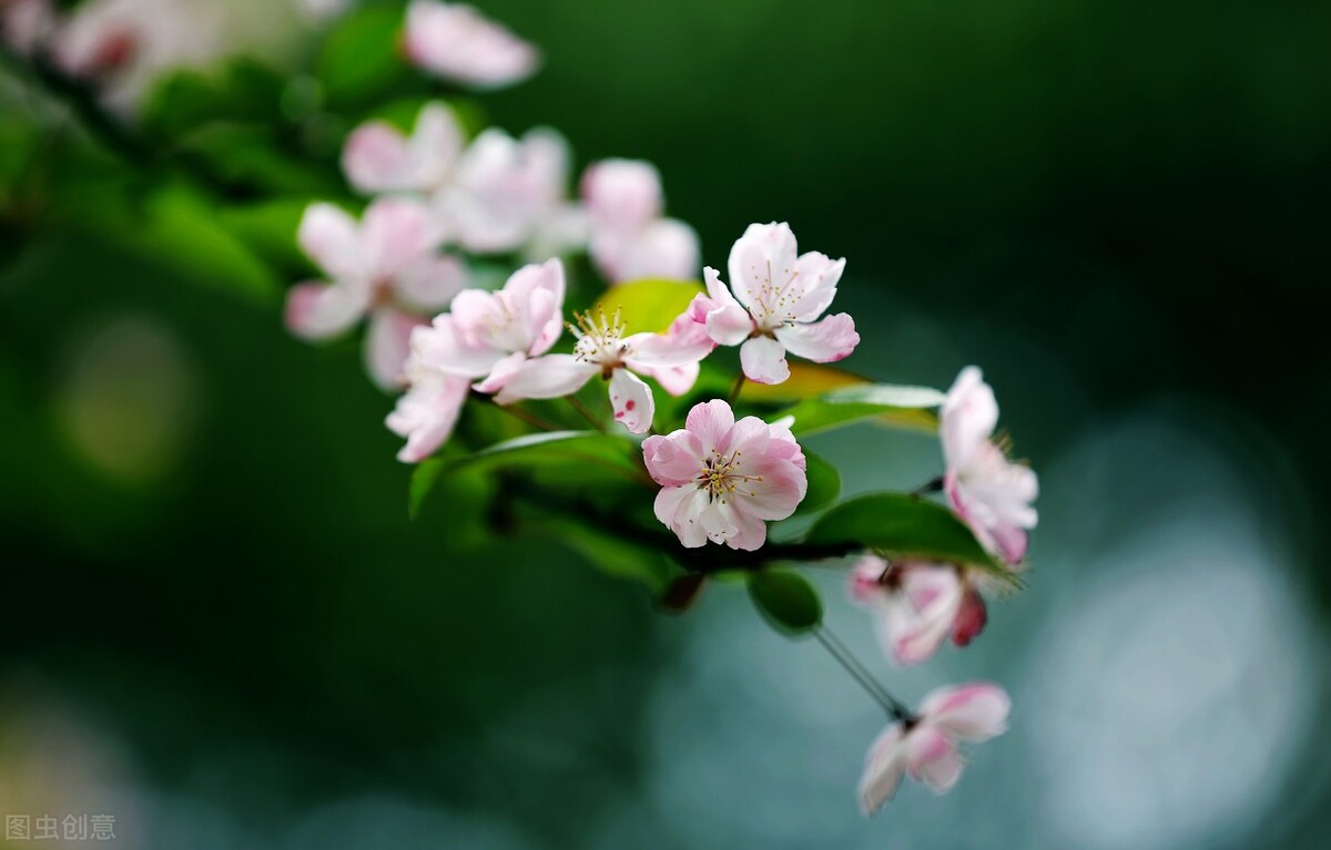 春暖花开人间有爱,迎接春暖花开愿所有美好如约而至
