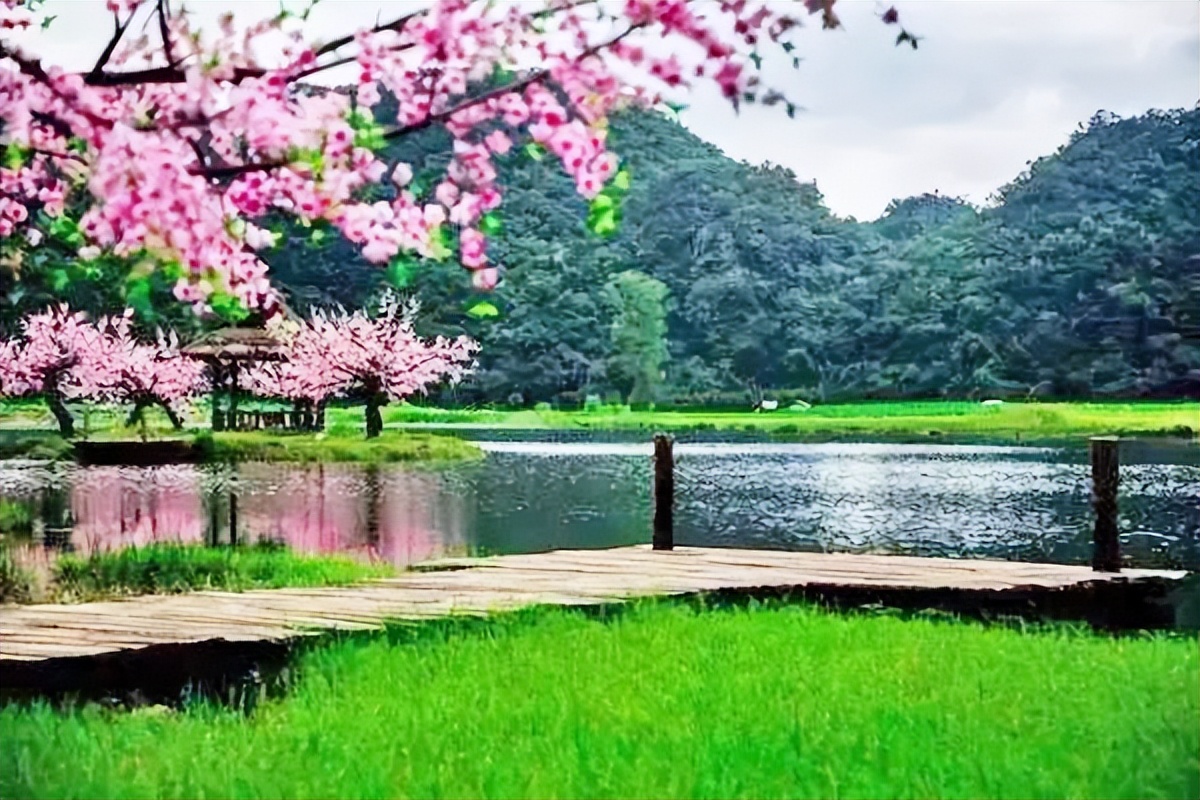 佛山出发广西五日四夜旅游攻略,广州出发云南4天自由行攻略