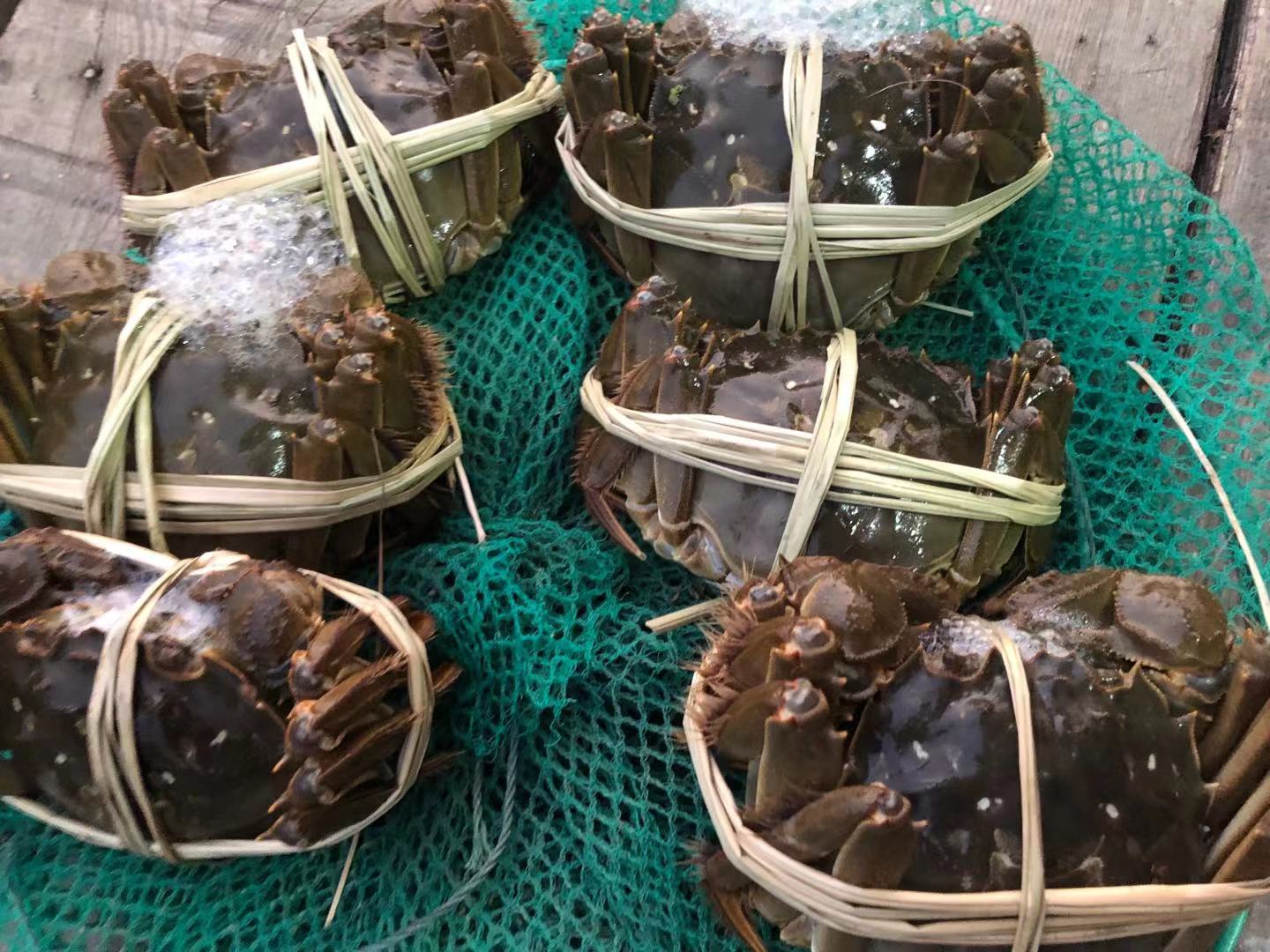 真正的阳澄湖大闸蟹年产量,阳澄湖大闸蟹一万多