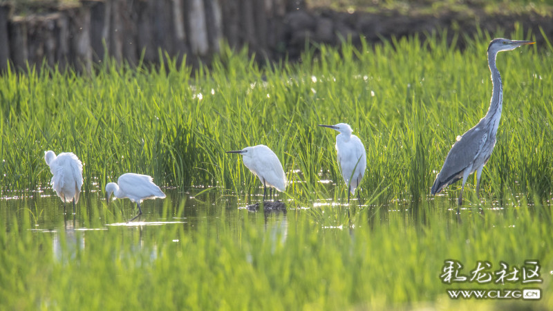 云南昆明生态旅游,昆明官渡区生态文化新城