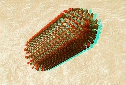 致死率近100%狂犬病为何如此恐怖,科普篇狂犬病到底有多可怕