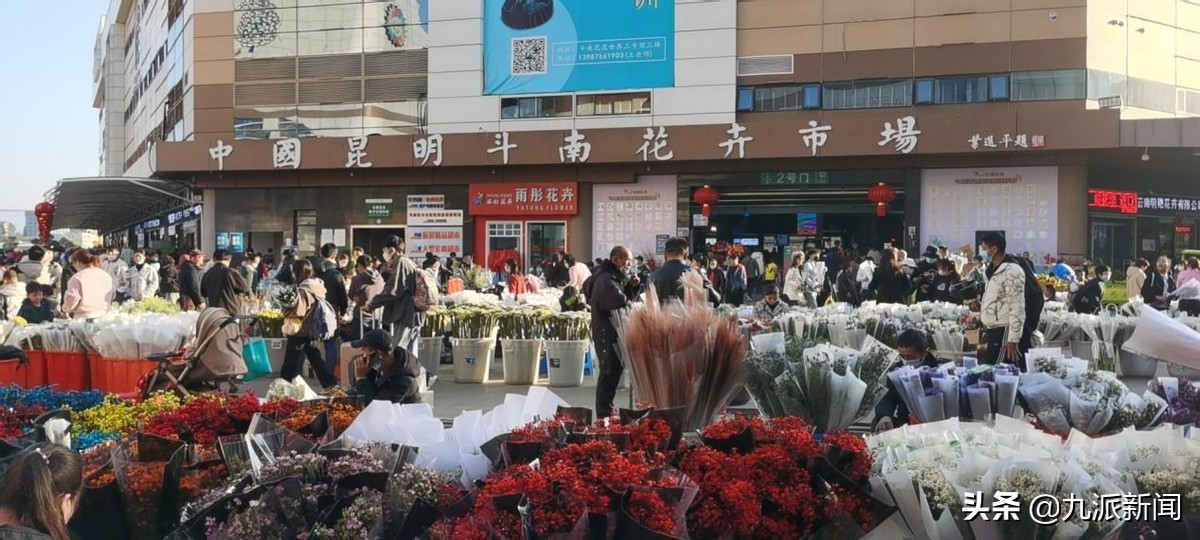 亚洲最大的鲜花市场招商,亚洲最大鲜花交易市场视频