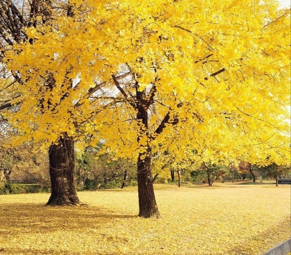 股市心得和炒股的5个要点,股市大a调整方法