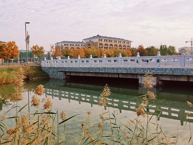 层林尽染的视频号,濮阳医专学历怎么样