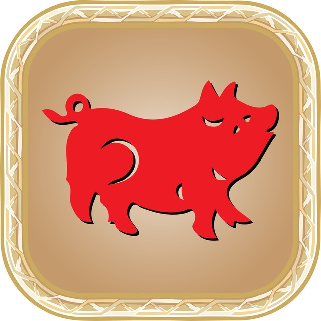 生肖猪的人7月30号的财运如何,7月7日生肖猪运势指数