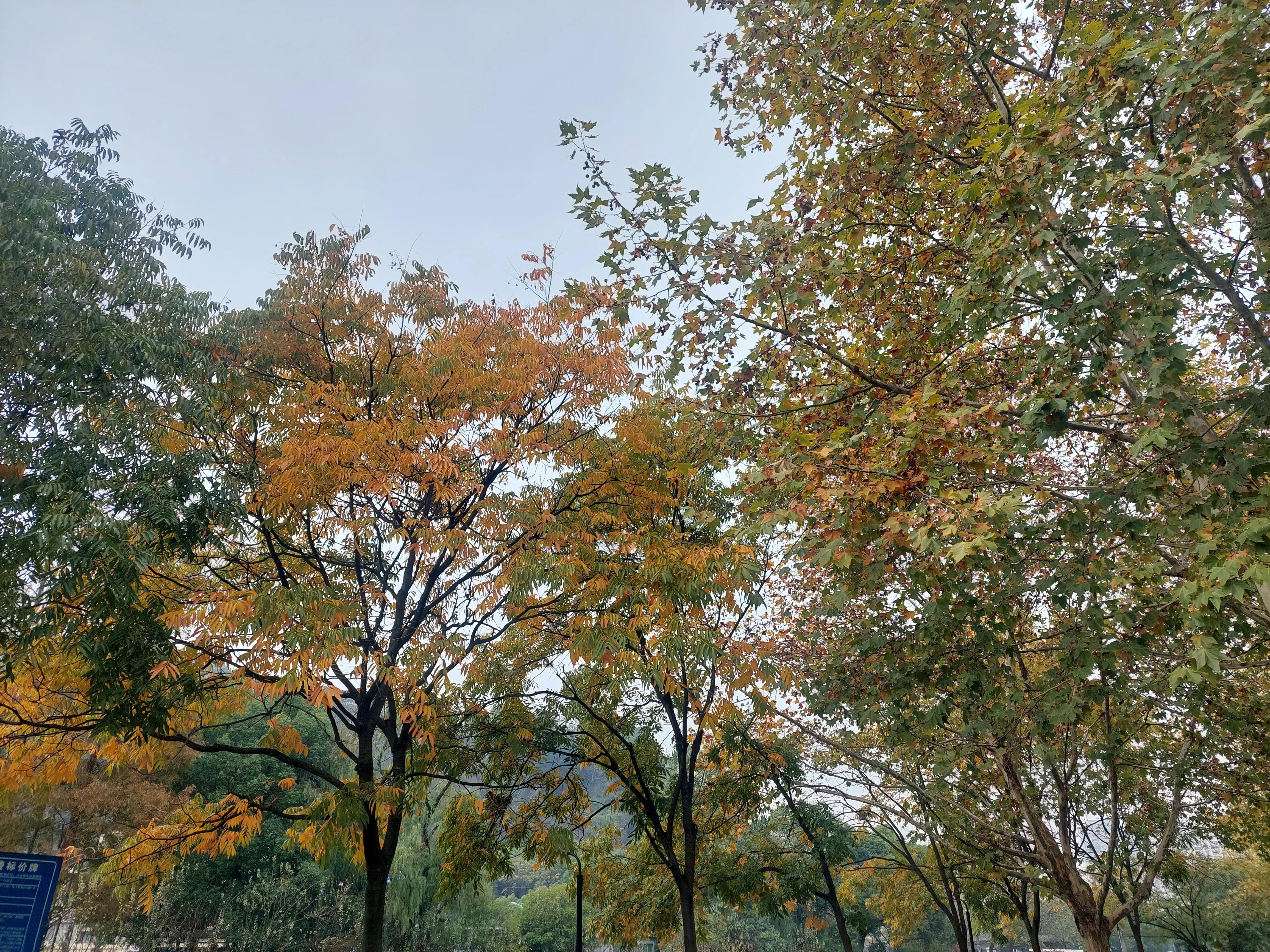 点球大战门将和主罚球员谁压力大,点球大赛门将互点