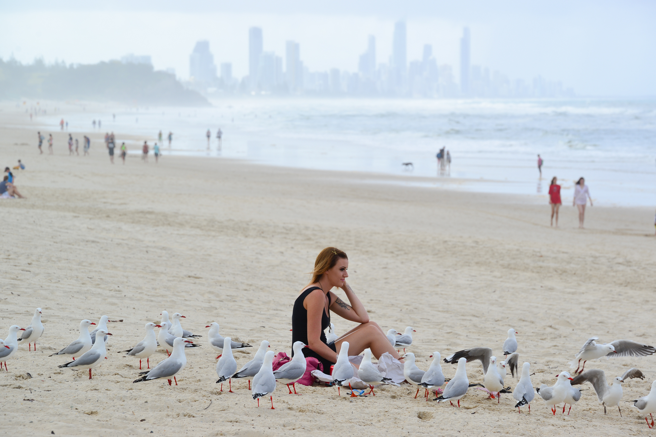 澳洲黄金海岸纪录片,澳洲黄金海岸游玩体验