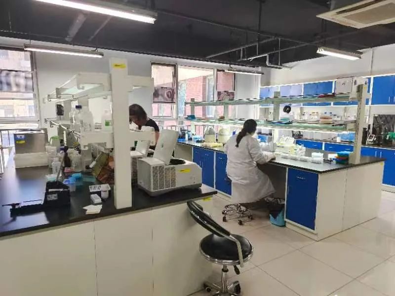 ai育种,ai育种技术