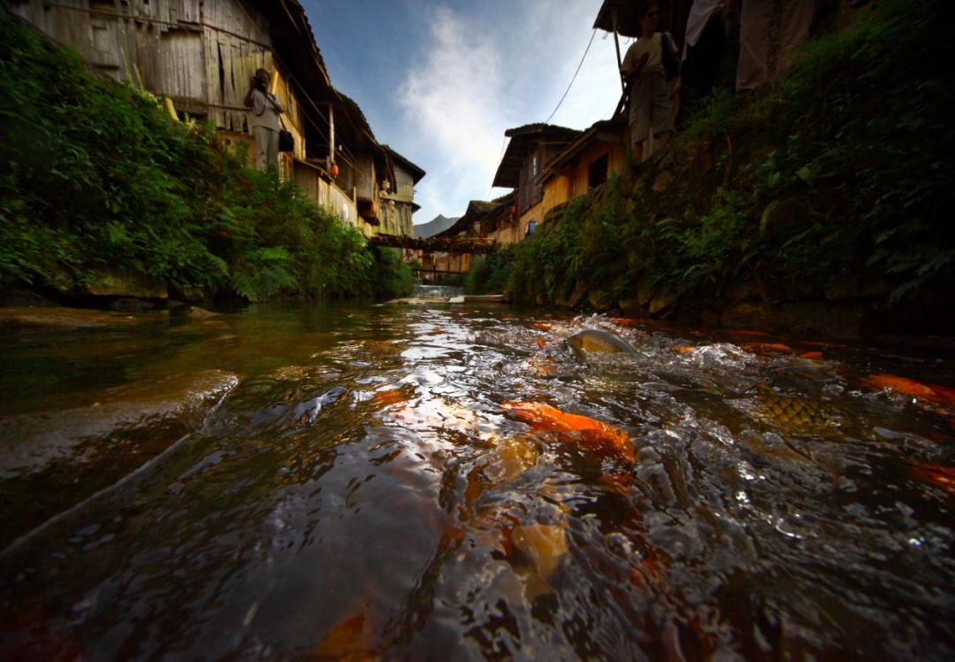 你听过但不一定知道歌手的歌,你听过但不一定看过原版视频