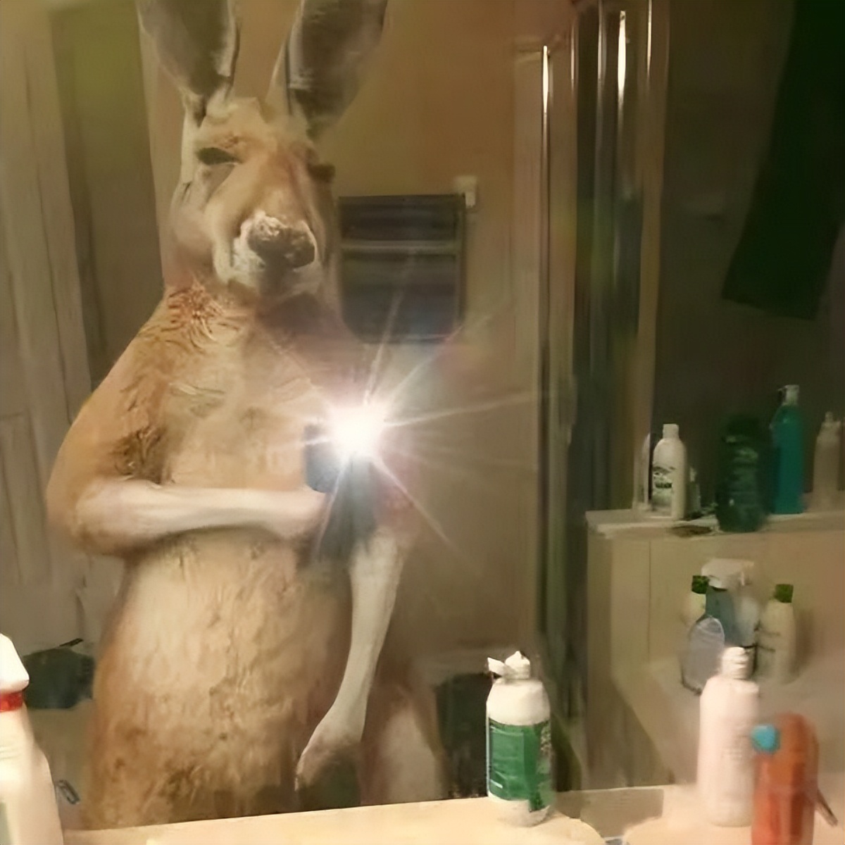 怎么识别留学生真假,怎么一眼可以认出中国留学生