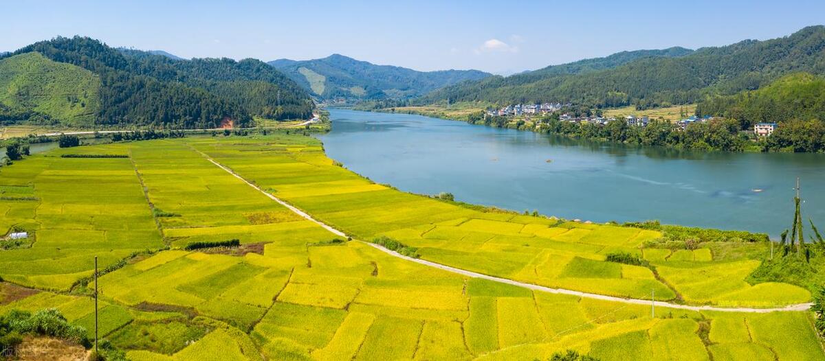 适合在农村创业项目,农村创业做什么最适合