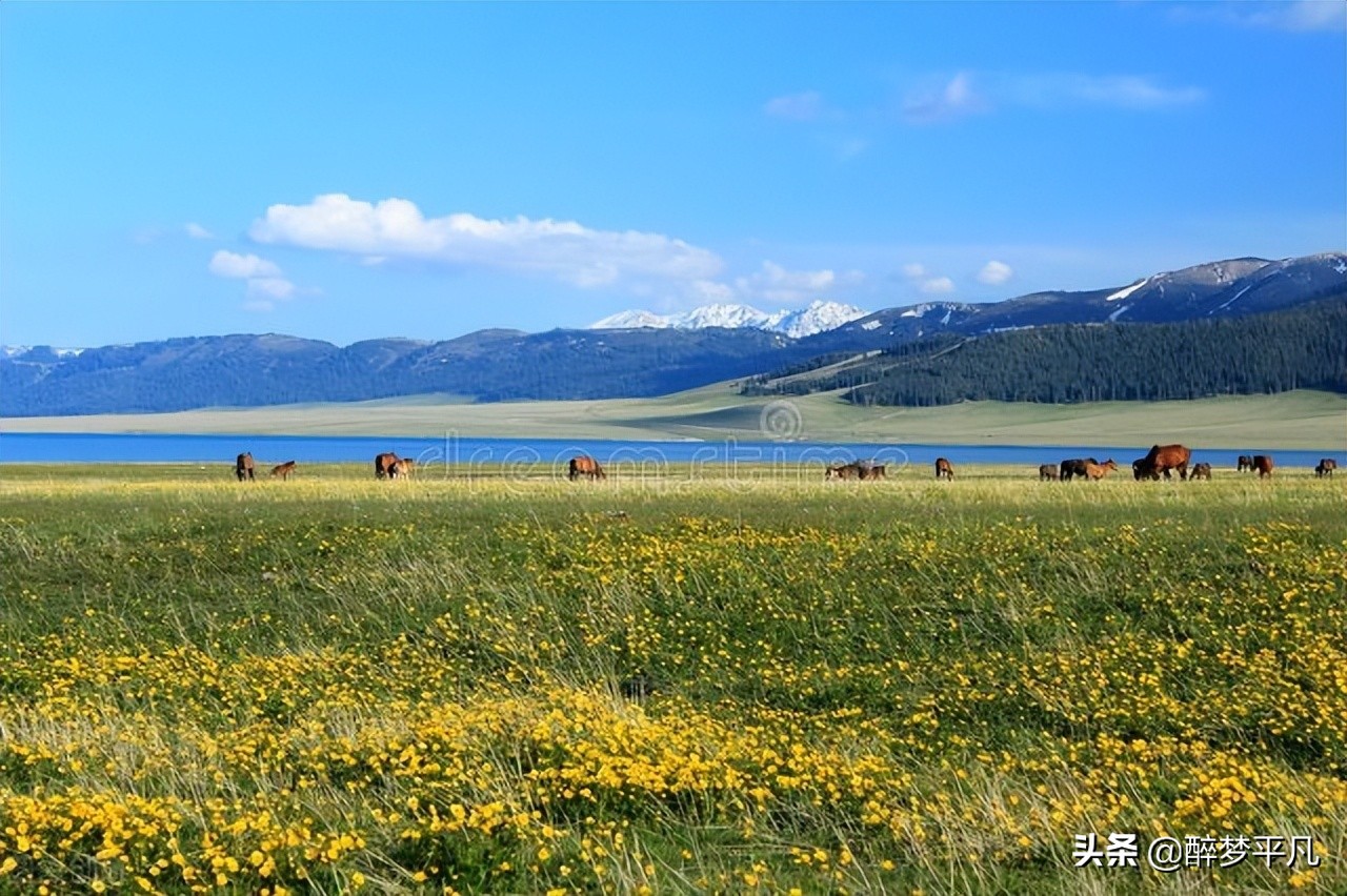 赛里木湖疆内户籍免费吗,赛里木湖疆内旅游团