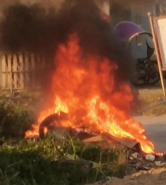 马来西亚华人王丽涓被害案,王丽娜遇害后续