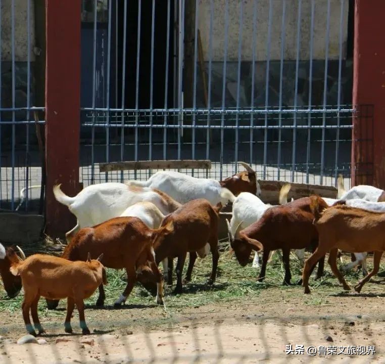 西安坐地铁旅游全攻略,西安半日游地铁