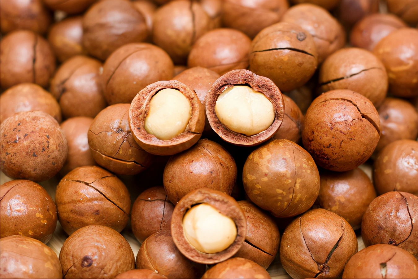 夏威夷果狗狗吃了会中毒吗,狗吃夏威夷果后几小时能出现问题