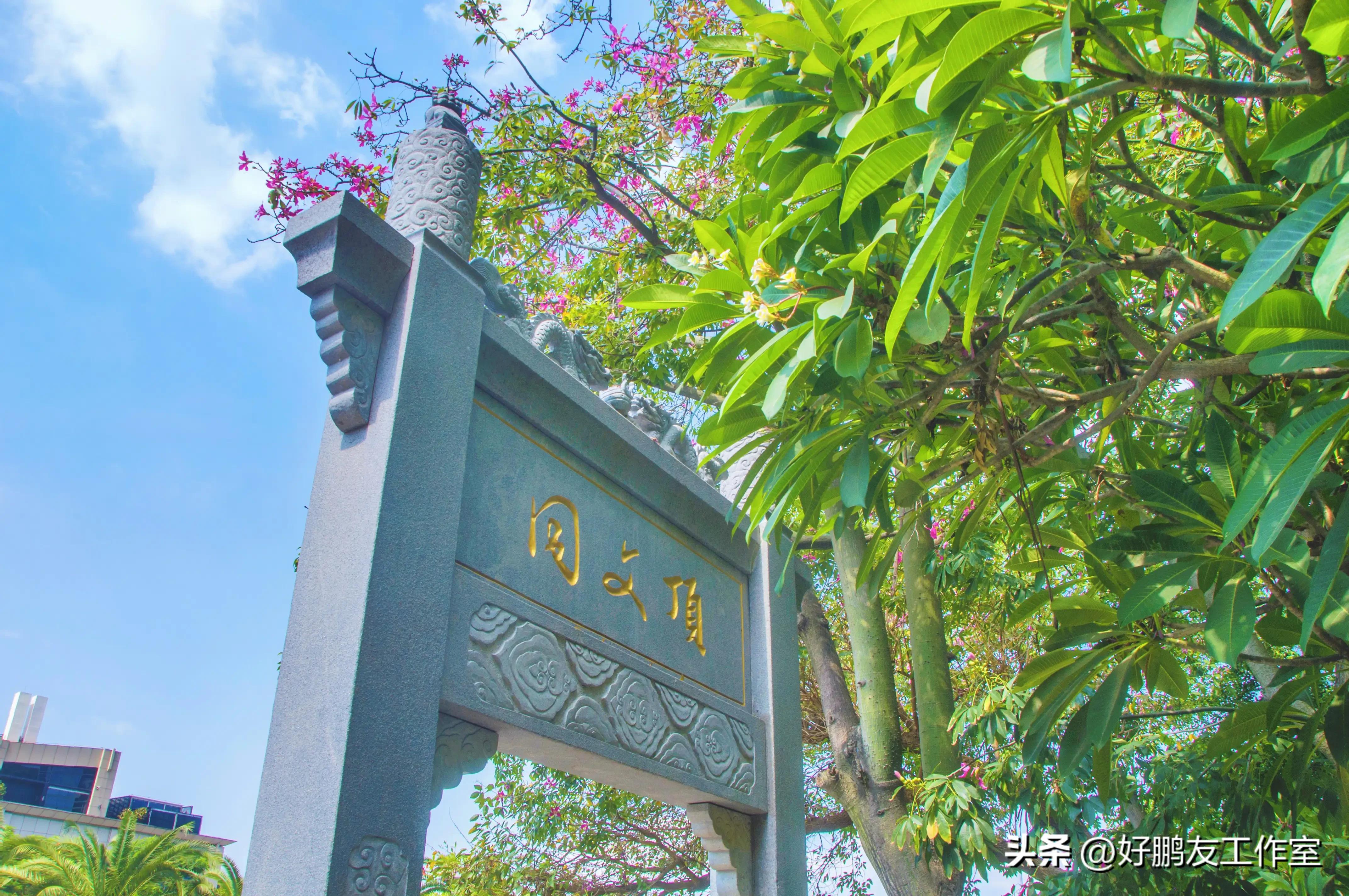 厦门同文顶不拆迁了,城市老城区如何发展