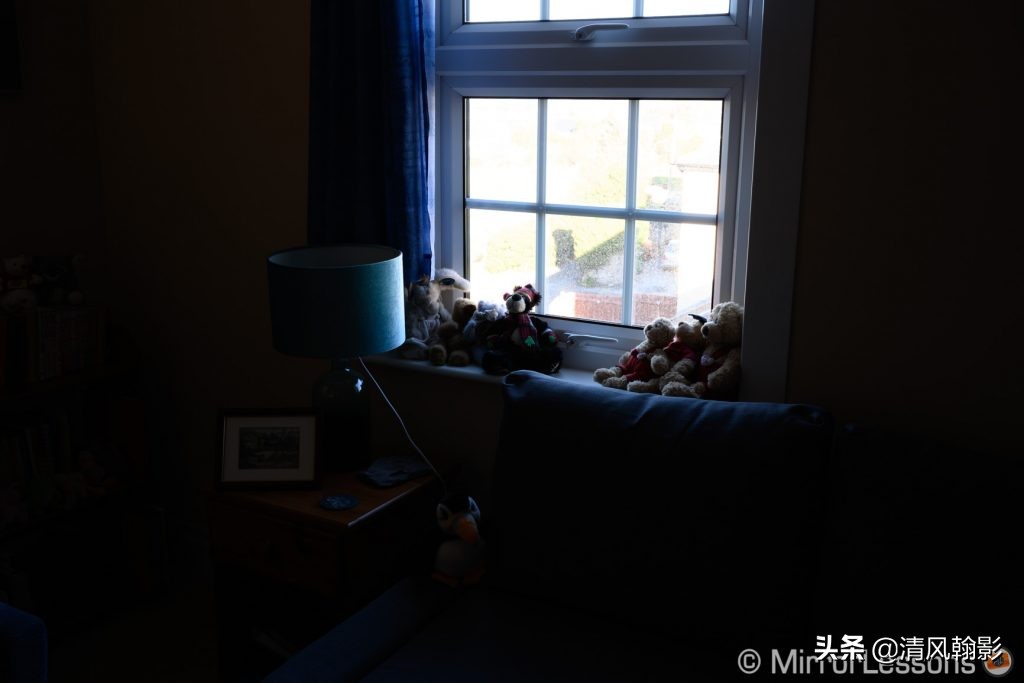 拍鸟用尼康d6好还是z7ii好,拍鸟买r6还是r5