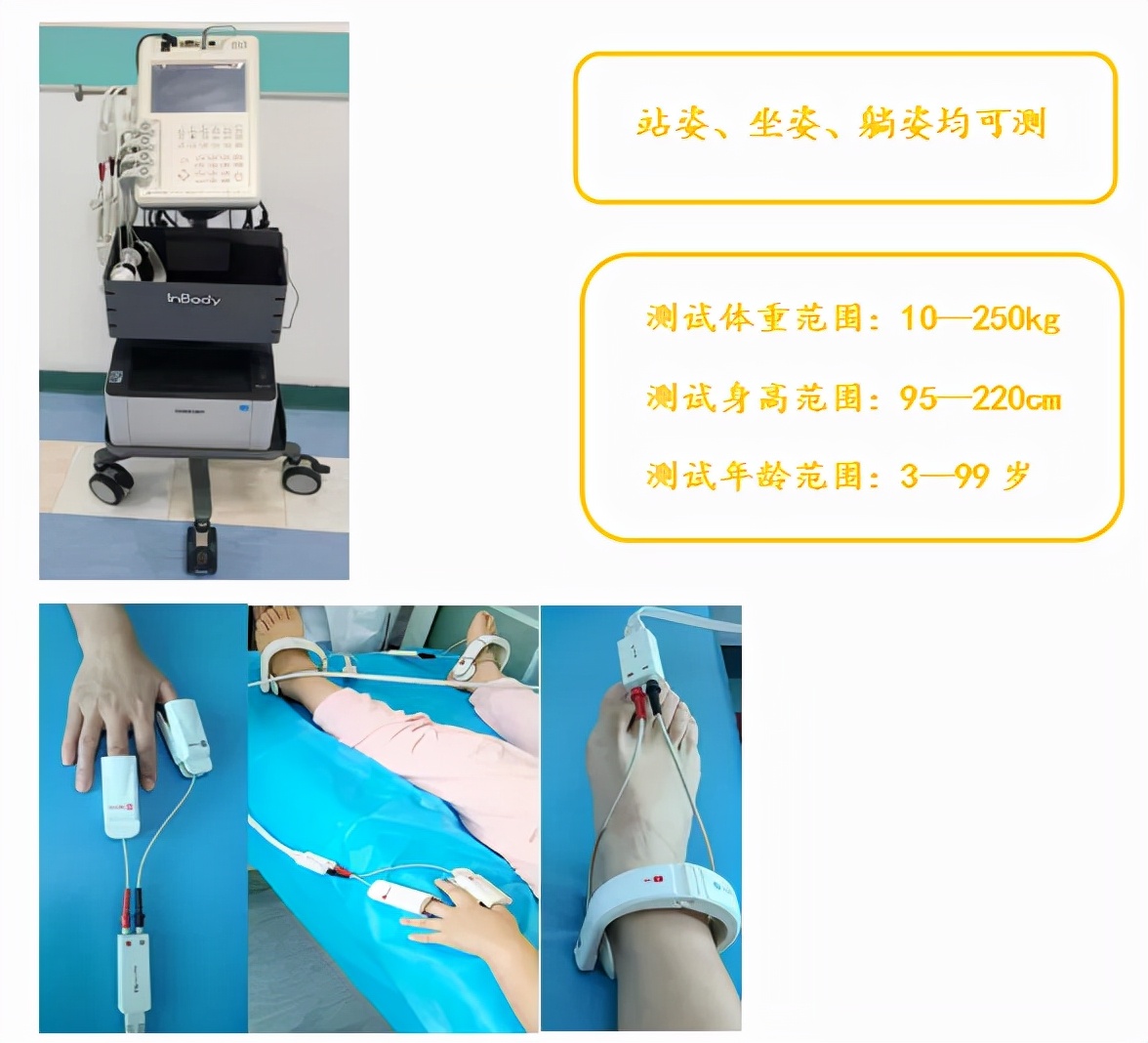 身体营养成分表去哪里检测,如何解读人体脂肪成分分析仪