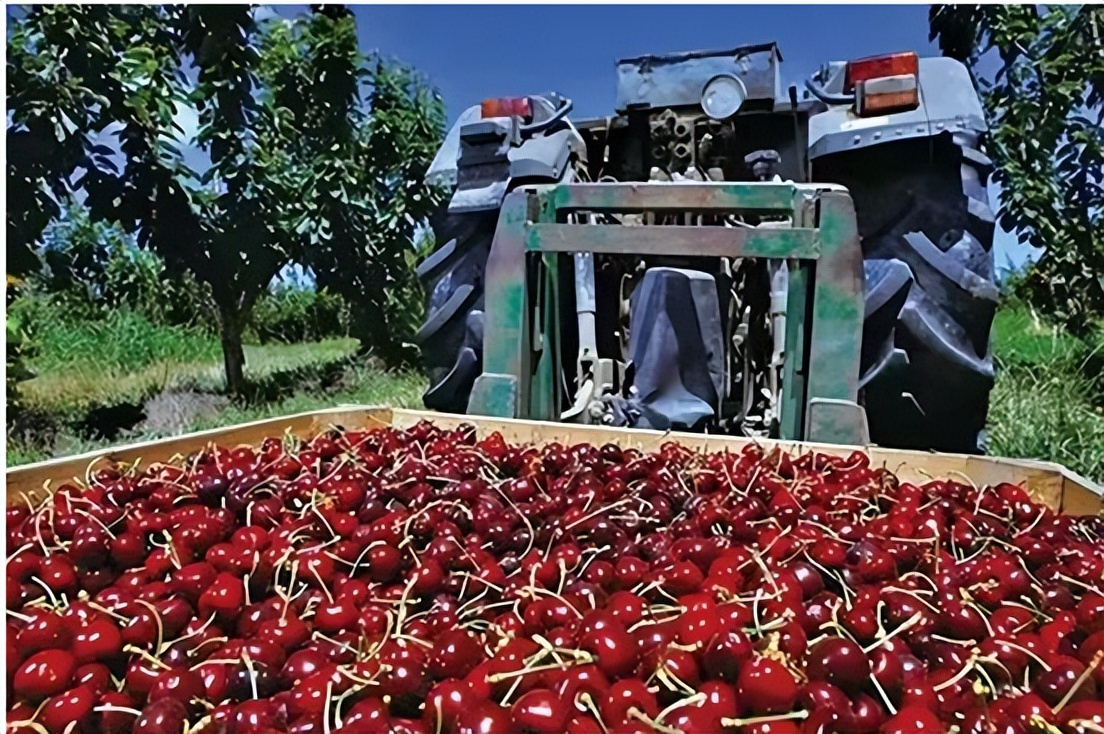 辽宁大连第一大企业：总销售额突破3500亿，在全国开设380家店铺