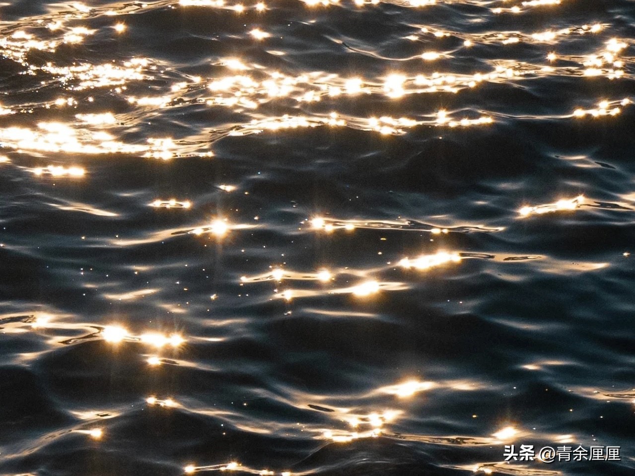 暑假去青岛还是威海看海,青岛和大连哪个城市适合看海