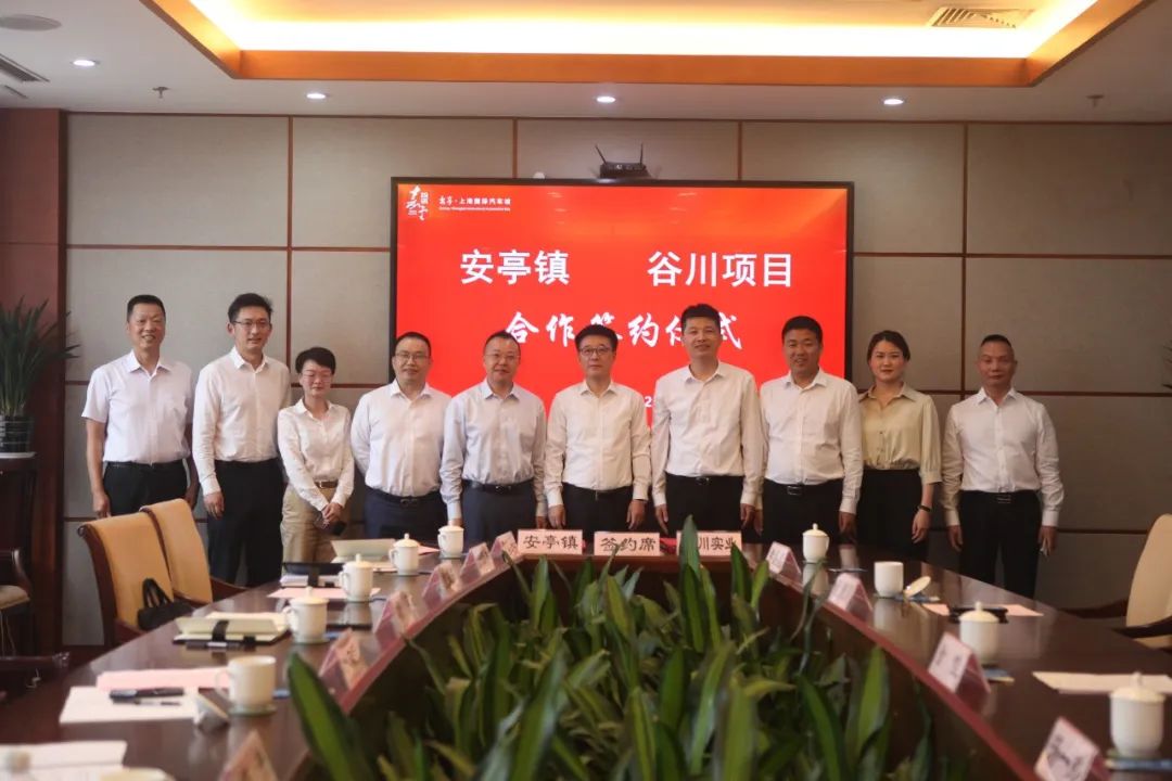 年产值达10亿元！在“中国汽车第一镇”拿地是什么体验？