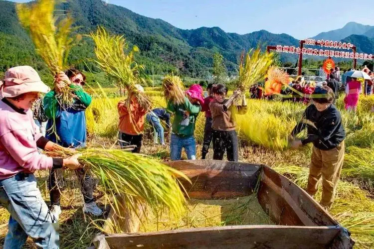 江苏南通穷地方,江苏最好的农村在南通
