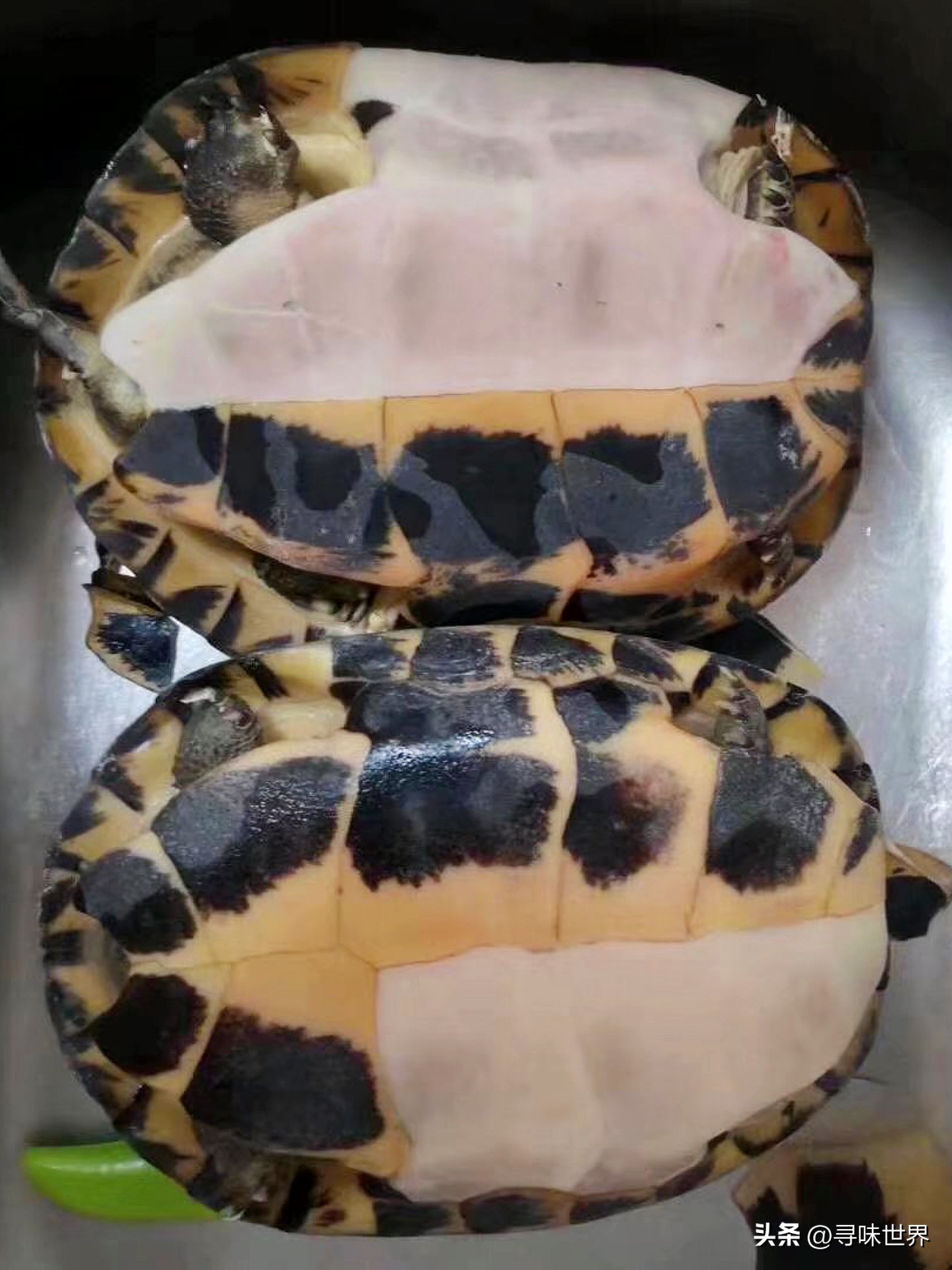 最正宗的龟苓膏配方,制作龟苓膏的详细教程