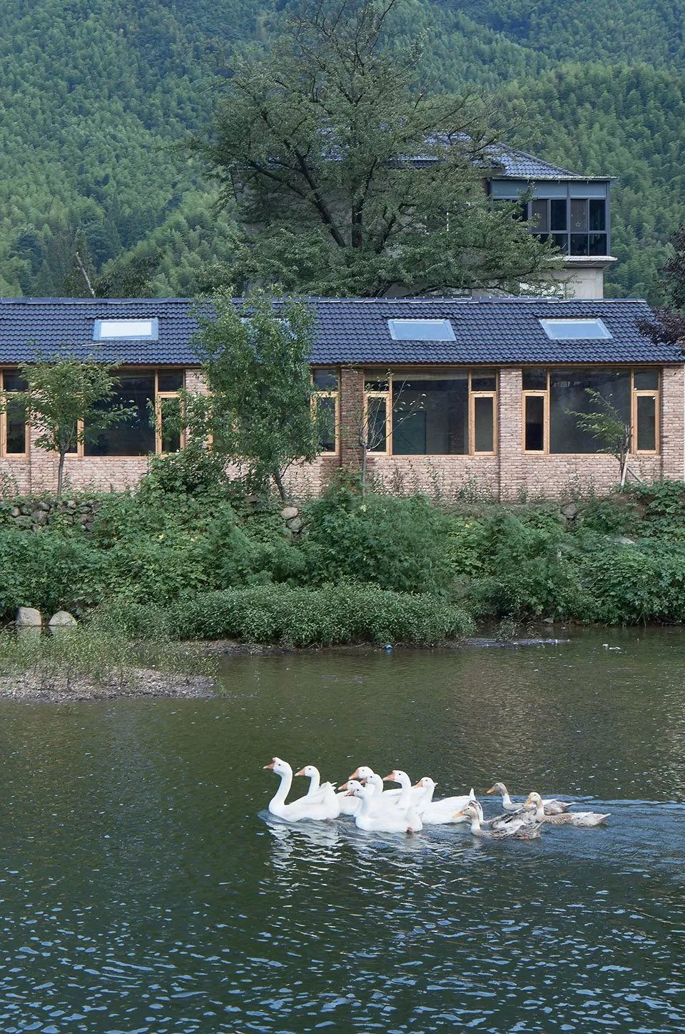 10个极具设计感的乡村改造,乡村创意改造景观