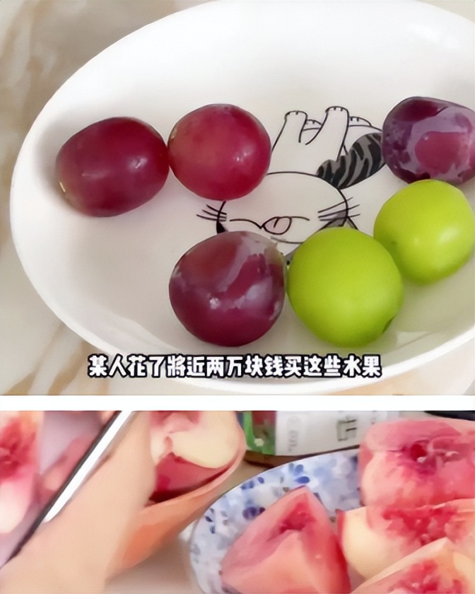 娱乐圈纪检委王思聪,娱乐圈王思聪新梗