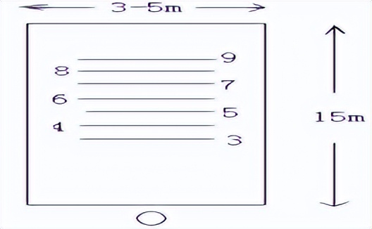 耐久跑体育课,江苏宿迁中考体育恢复耐久跑