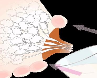 什么是开奶催奶,什么是开奶功能