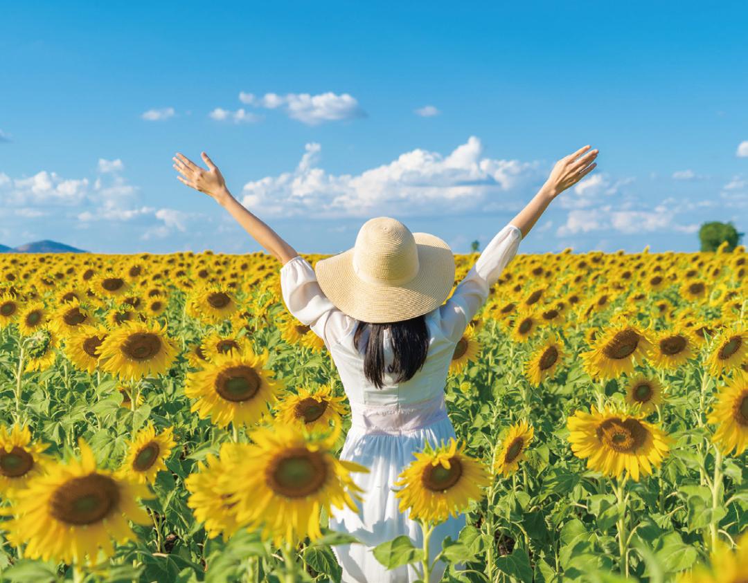 怎么正确给孩子讲生死,如何应对小孩的生死问题