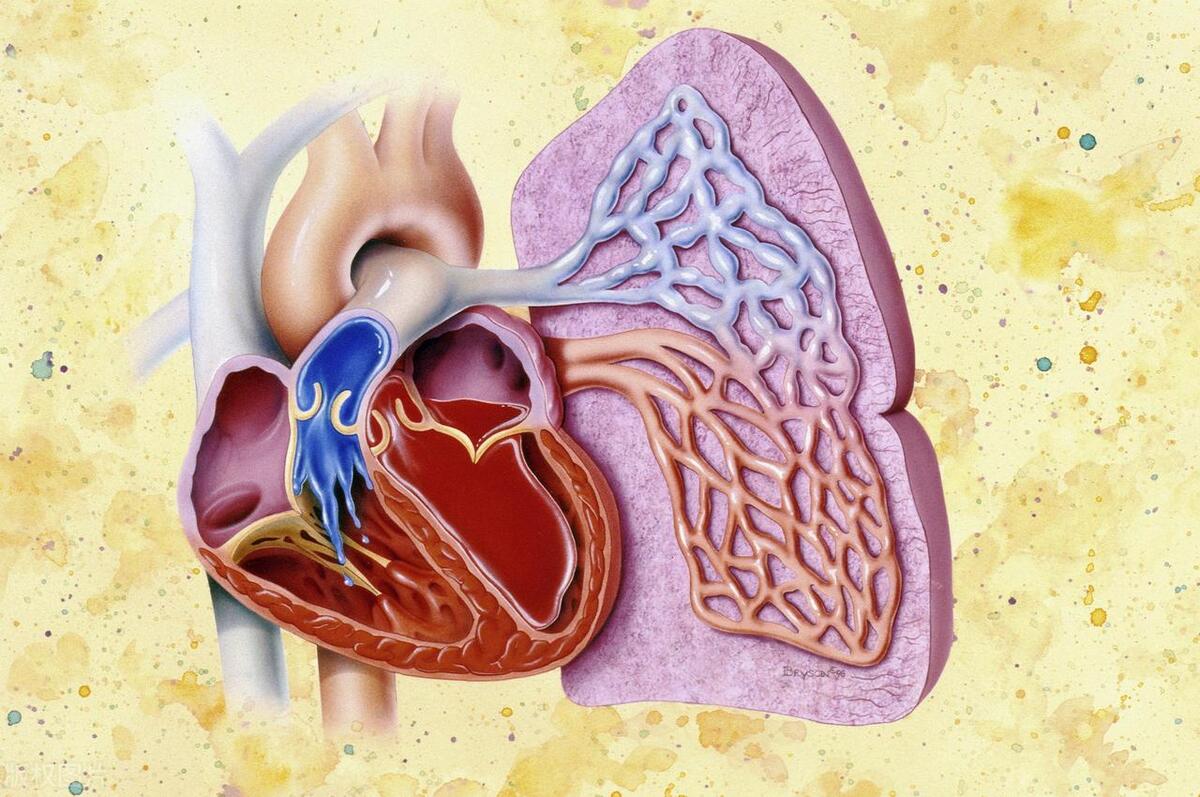 舌中凹陷有裂纹怎么回事,舌中部凹陷裂纹中医代表什么