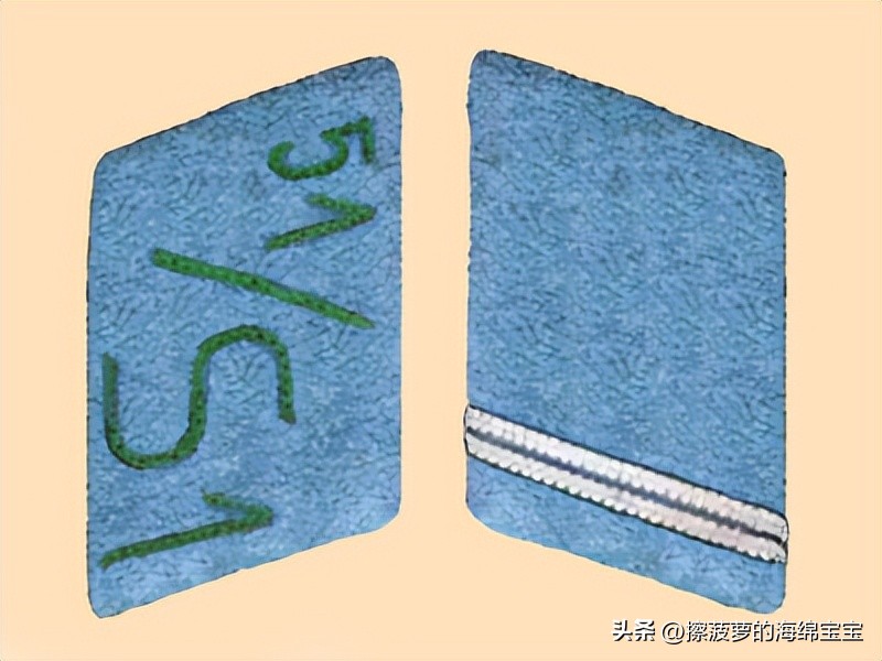 纳粹冲锋队用的什么枪,纳粹德军军衔图解