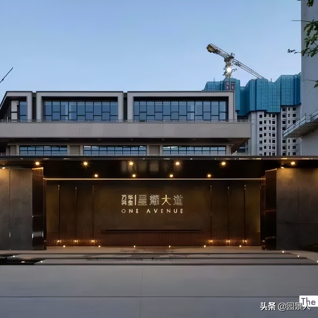 万科华生星耀大道和华生公园大道,武汉万科华生星耀大道