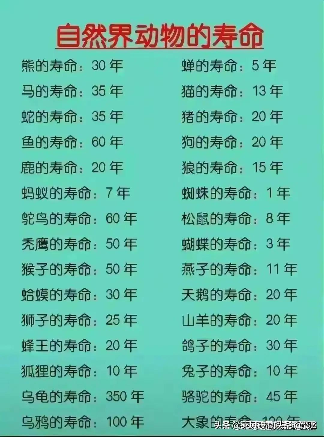 喜力啤酒和青岛啤酒哪个好喝,蓝带啤酒和青岛啤酒哪个好喝